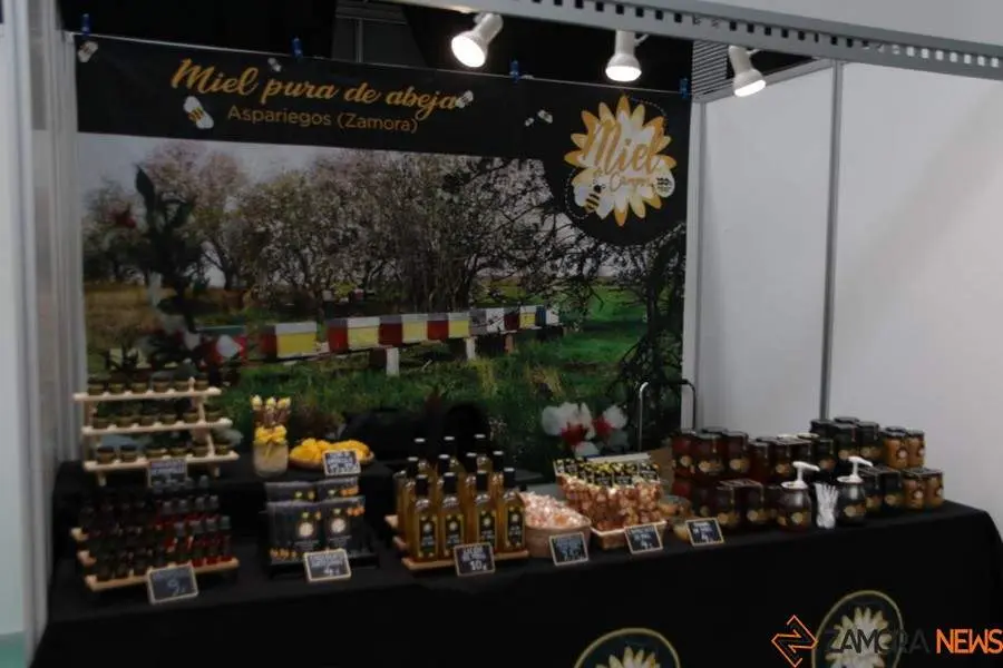 Feria Mobiliza _23