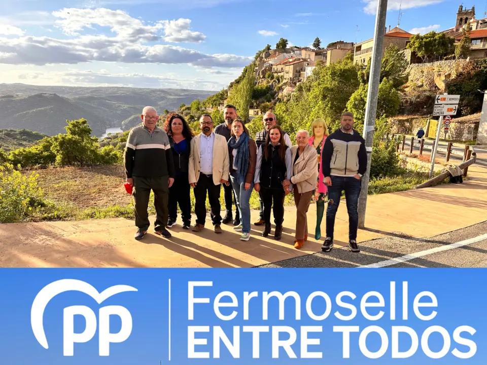candidatura23ppFermoselle