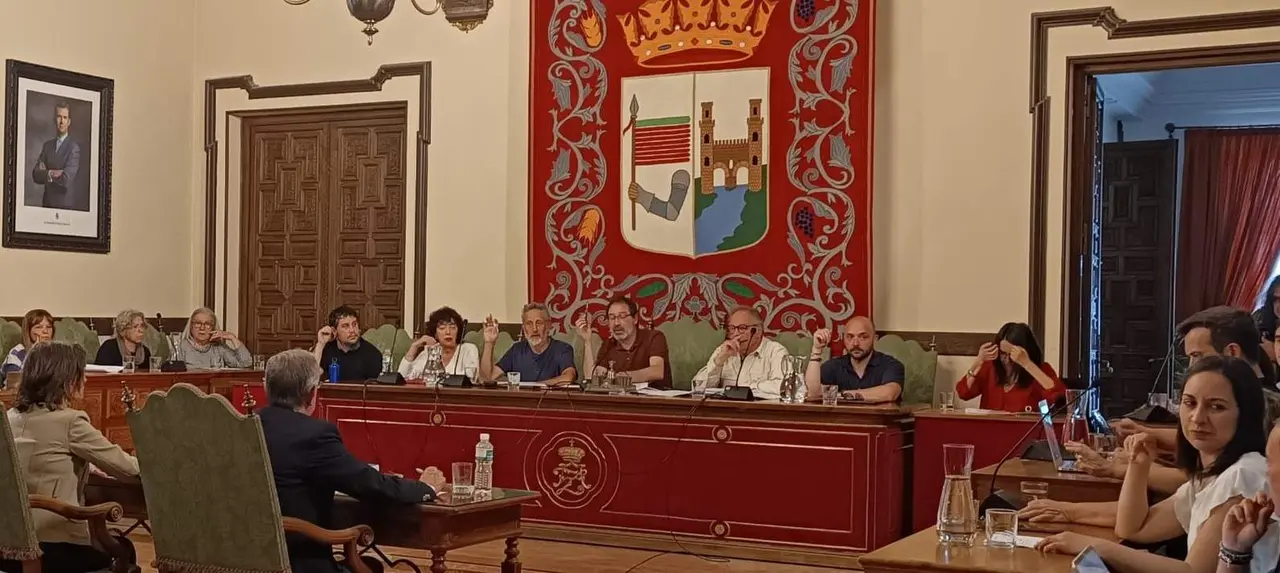 Pleno ayto Alcalde en funciones