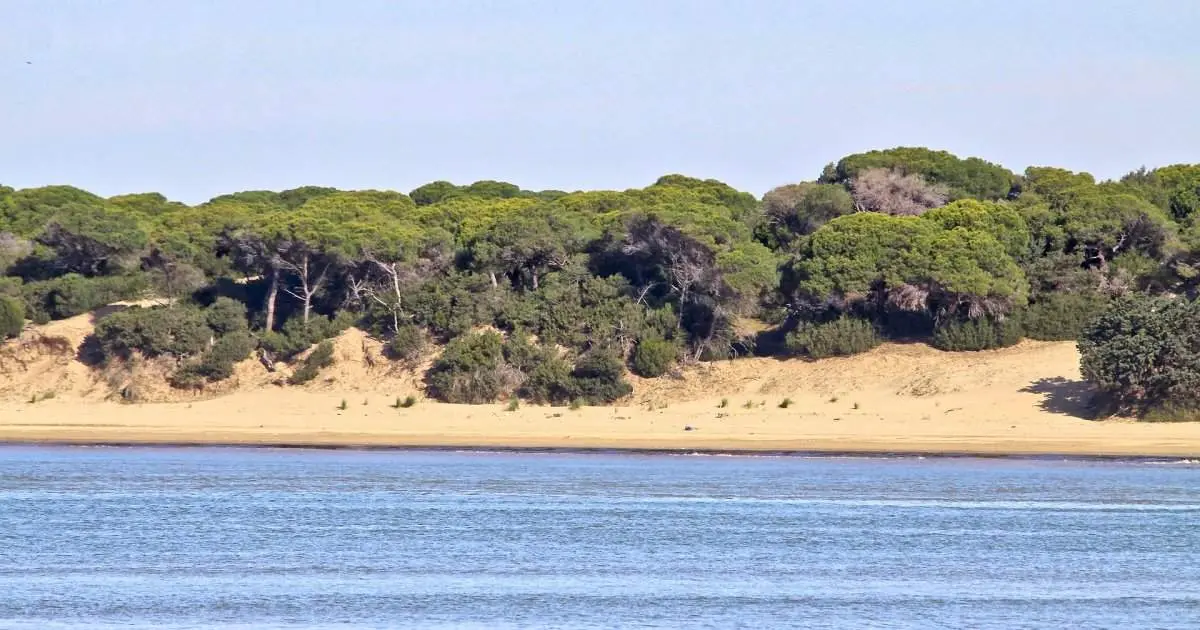 Doñana