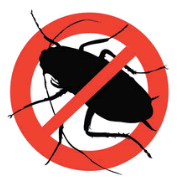 cucaracha