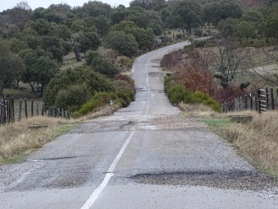 Estado de la ZA-P-2226 que une el camino de Tudera y Argañín con Badilla de Sayago