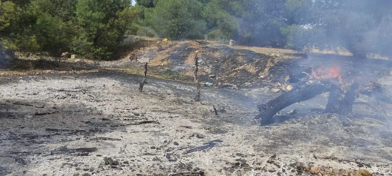 Llamas en el camino de Los Bardales. Imagen cedida a Zamora News