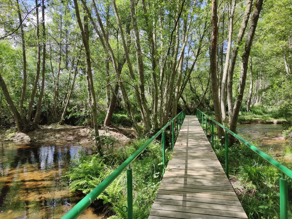 WhatsApp Image 2023-05-08 at 12.27.28