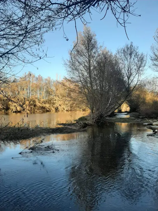 WhatsApp Image 2023-05-08 at 12.54.58