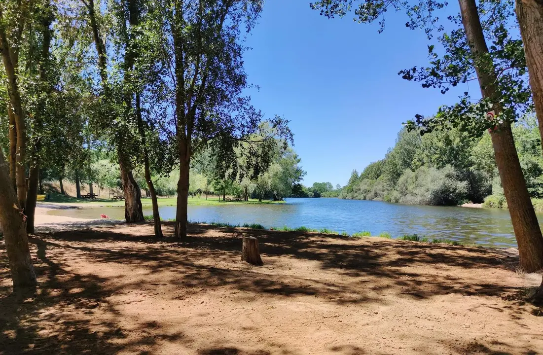 WhatsApp Image 2023-05-08 at 12.55.21