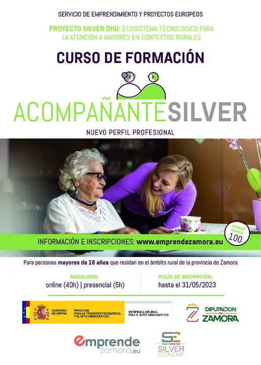 Cartel Curso Acompañante Silver