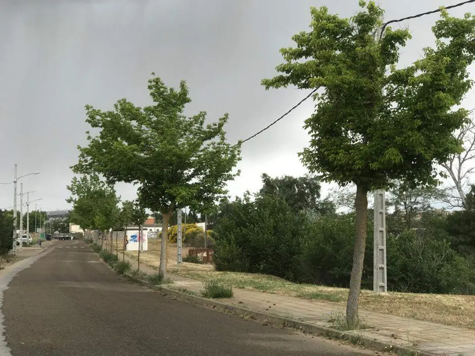 día nublado, afueras de Zamora