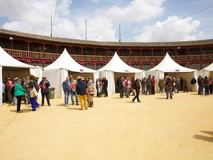 Feria del Vino de Toro (15)