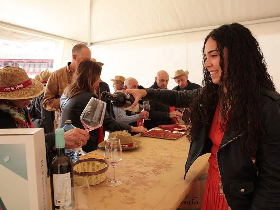 Feria del Vino de Toro (23)