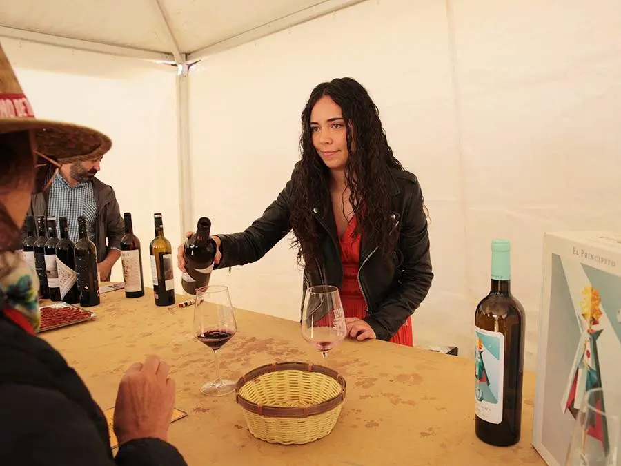 Feria del Vino de Toro (25)