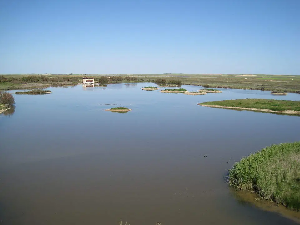 Reserva natural Lagunas de Villafáfila