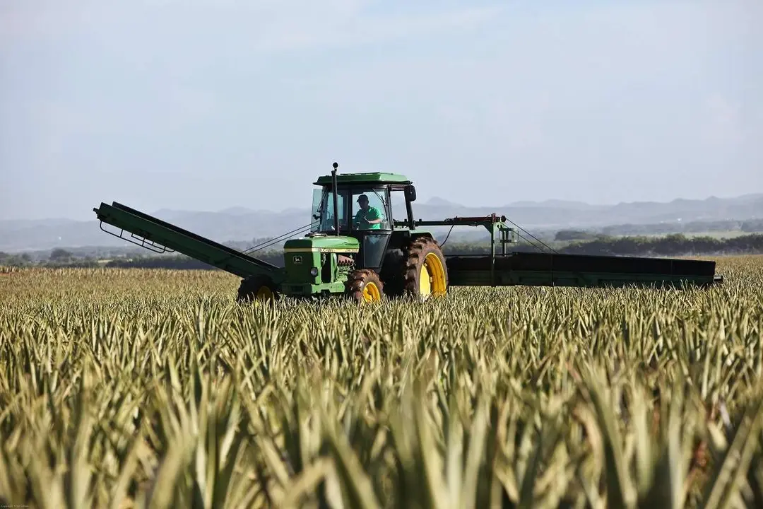 Agricultor