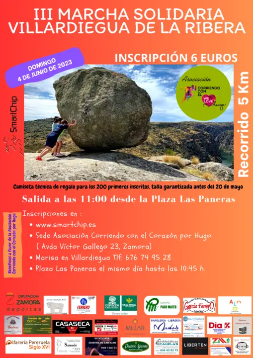 Cartel Marcha Solidaria Villardiegua de la Ribera