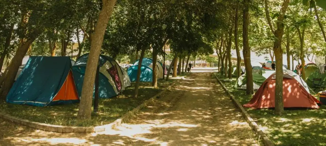Camping Aceñas de Olivares