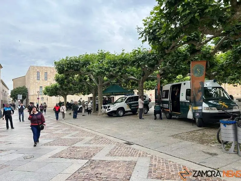 Exposici&oacute;n Fuerzas Armadas_25