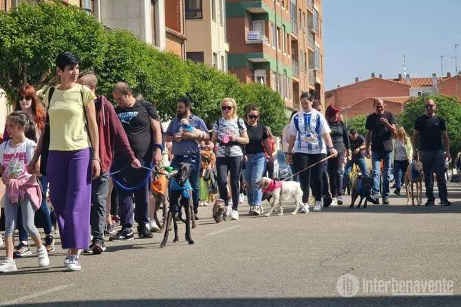 Marcha solidaria vía Interbenavente.es