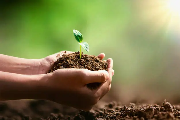 ecologia