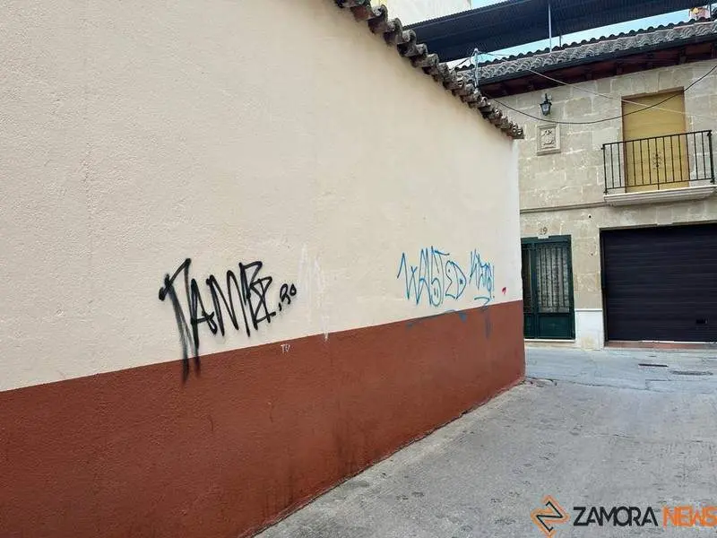 Toro_3