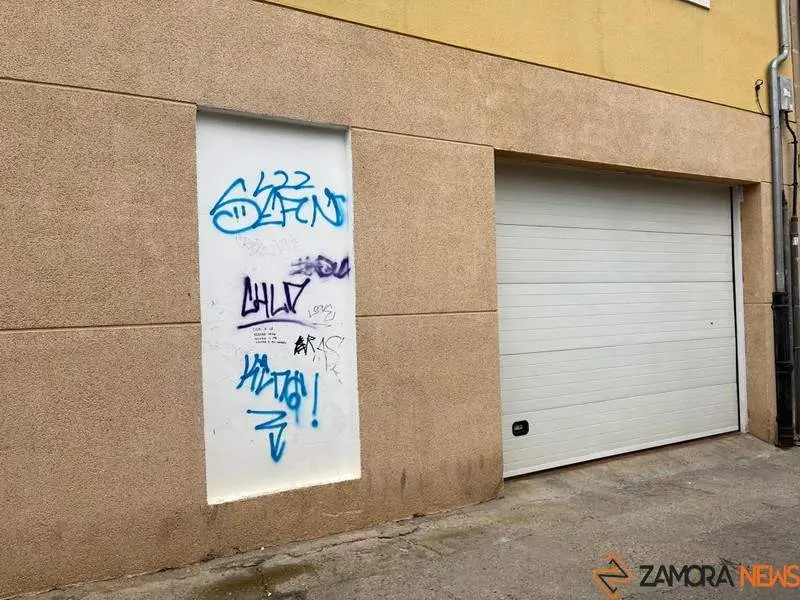 Toro_4