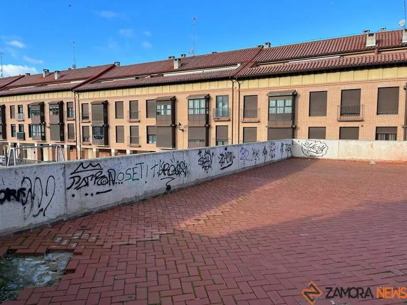 Toro_5