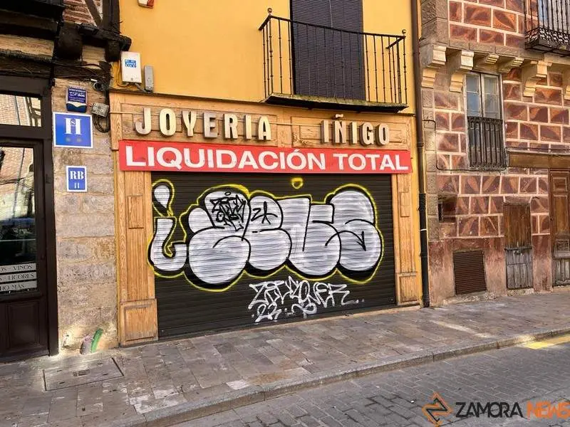 Toro_9