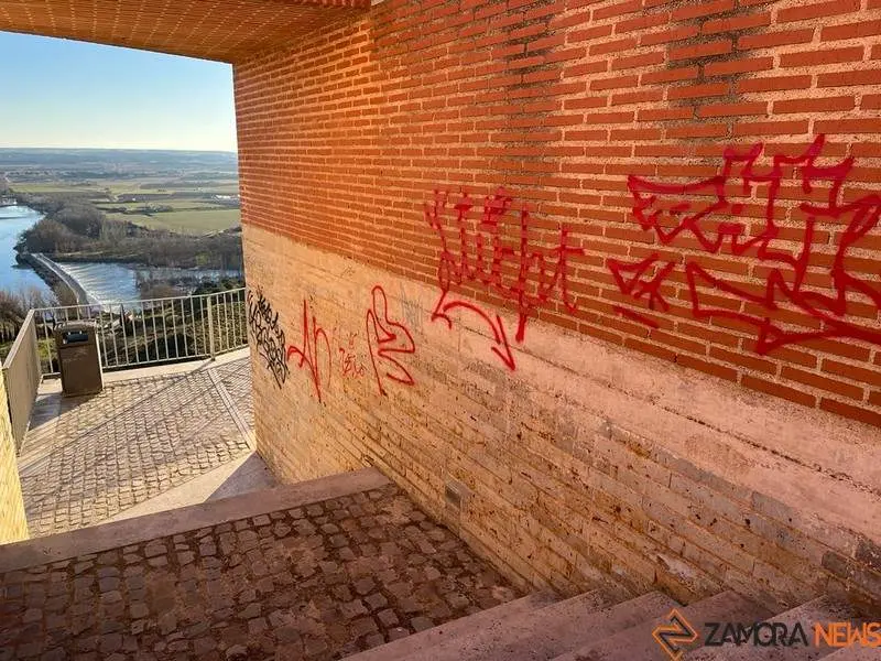 Toro_12