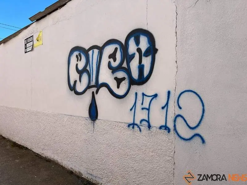 Toro_14