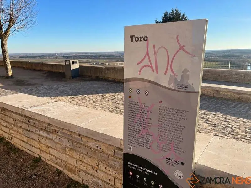 Toro_15