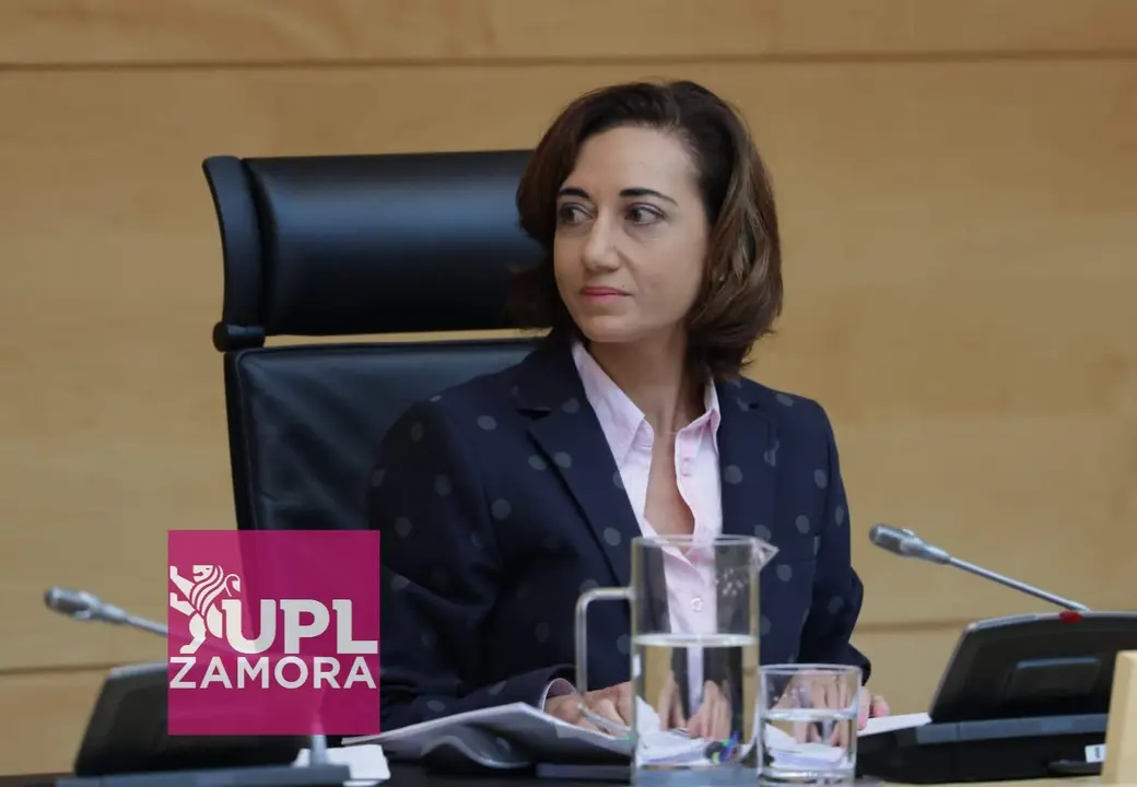 Procuradora leonesista, Alicia Gallego