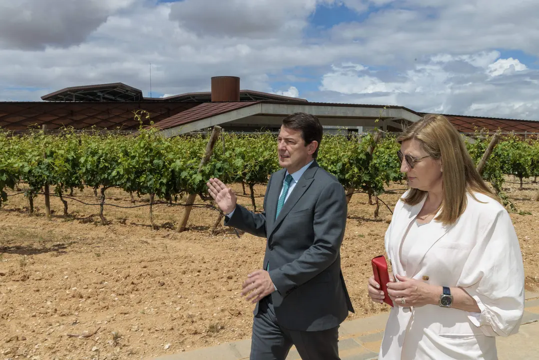 Exposición 'Tipologías y Paradigmas' en Bodegas Portia