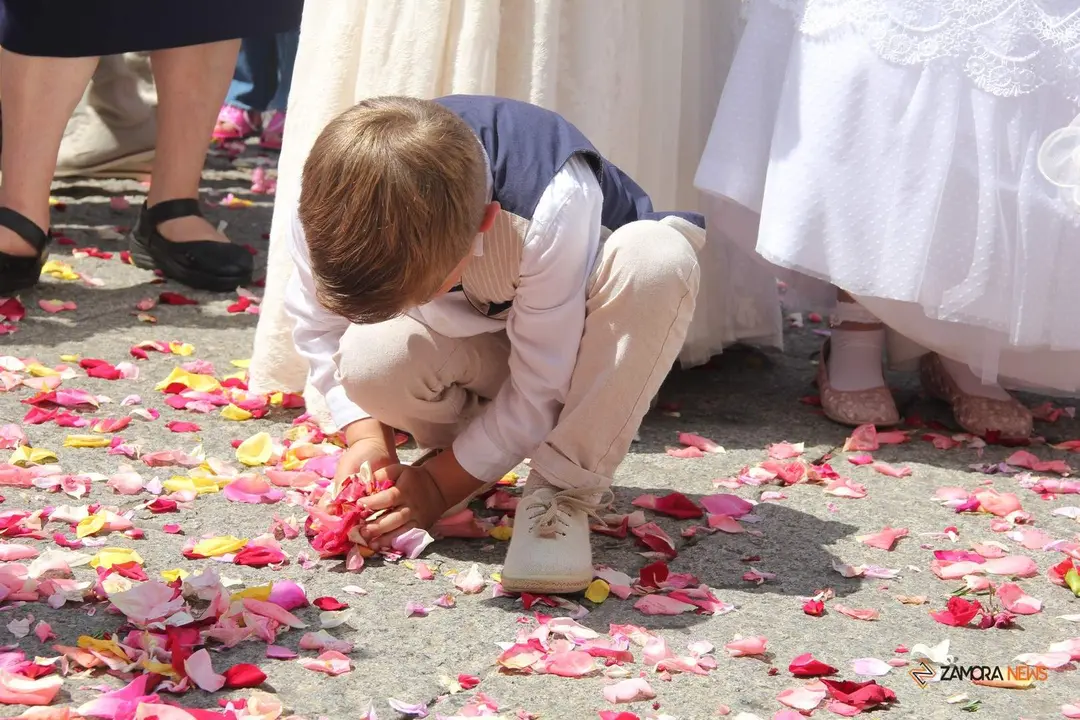 Procesión Corpus Christi Zamora 2023_17