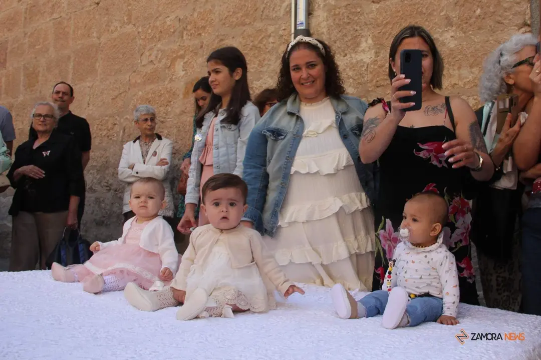 Procesión Corpus Christi Zamora 2023_74