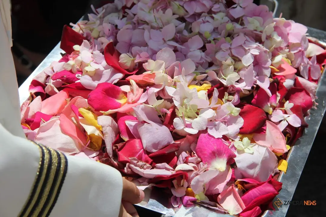 Procesión Corpus Christi Zamora 2023_33