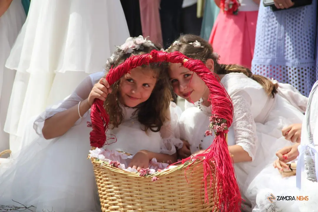 Procesión Corpus Christi Zamora 2023_46