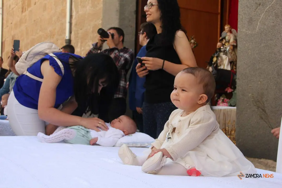 Procesión Corpus Christi Zamora 2023_72