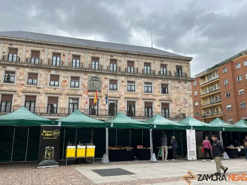 Mercado ecológico