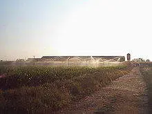 campos morales del vino