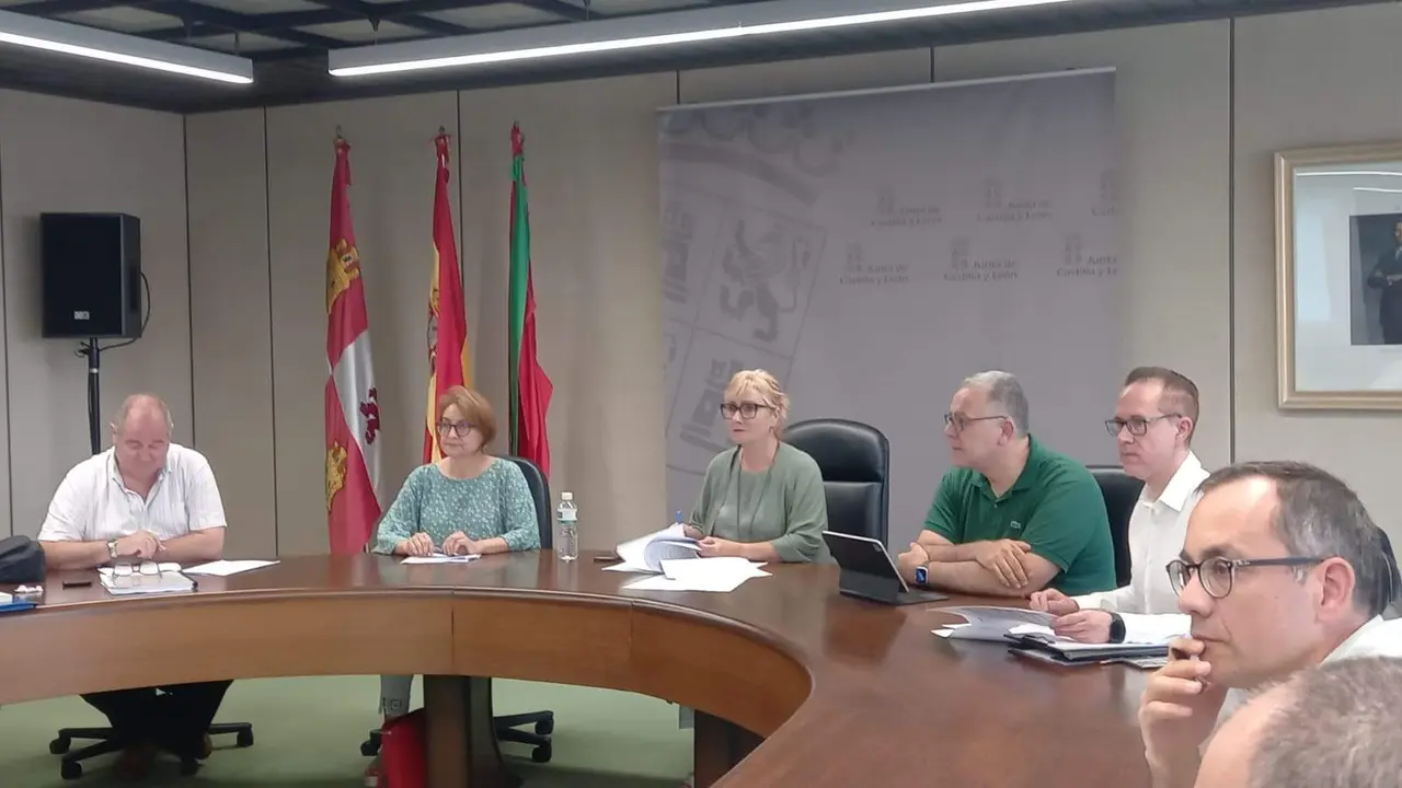 Comisión de Patrimonio junio