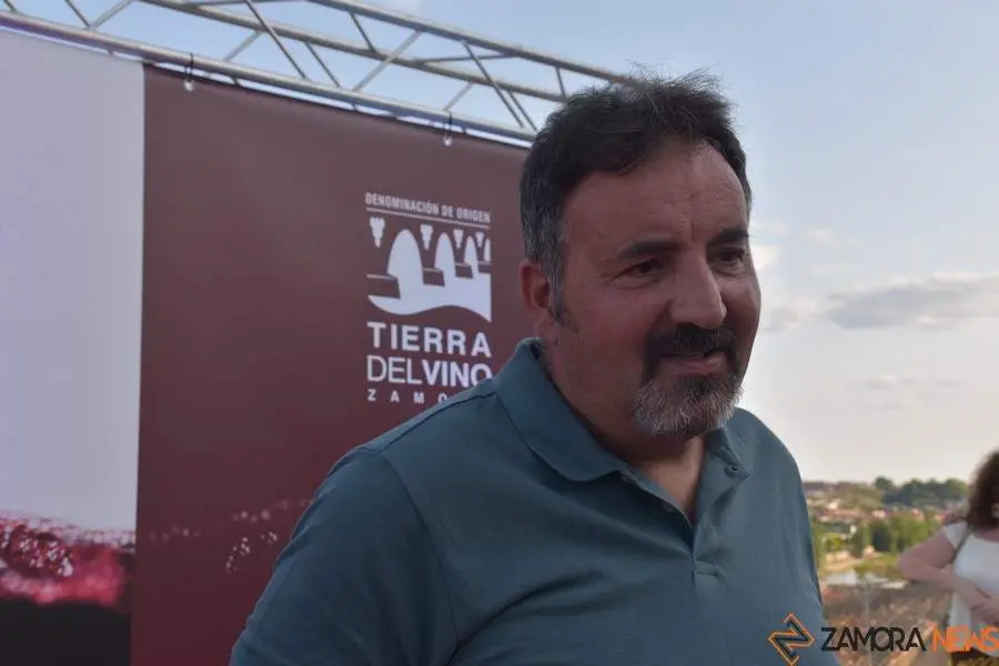 vinos denominación de origen