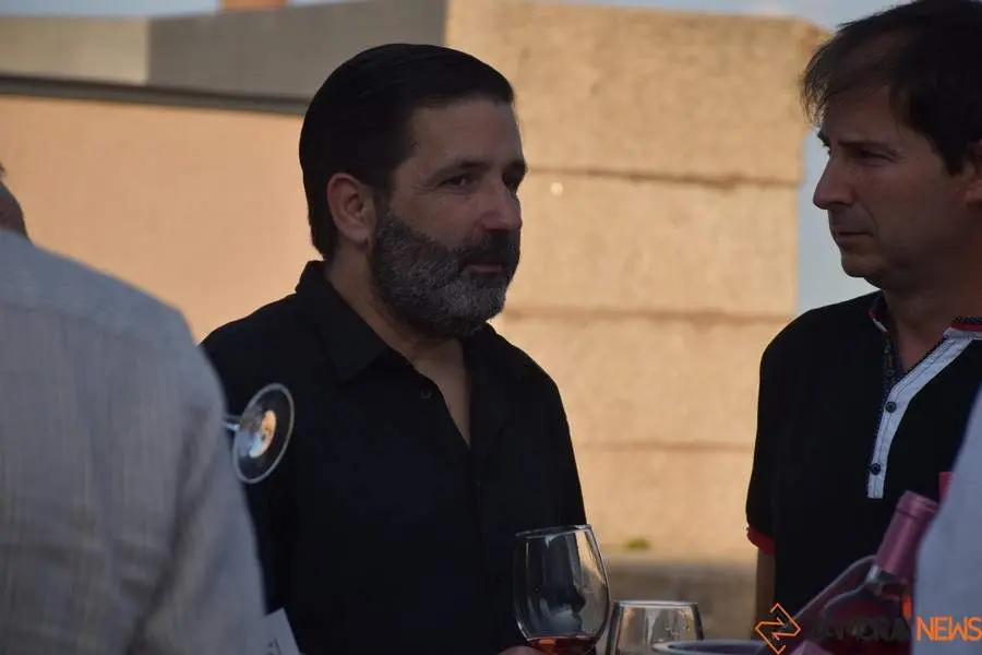 vinos denominación de origen_15