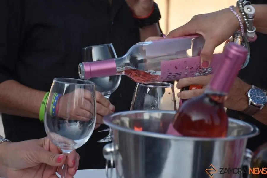 vinos denominación de origen_17