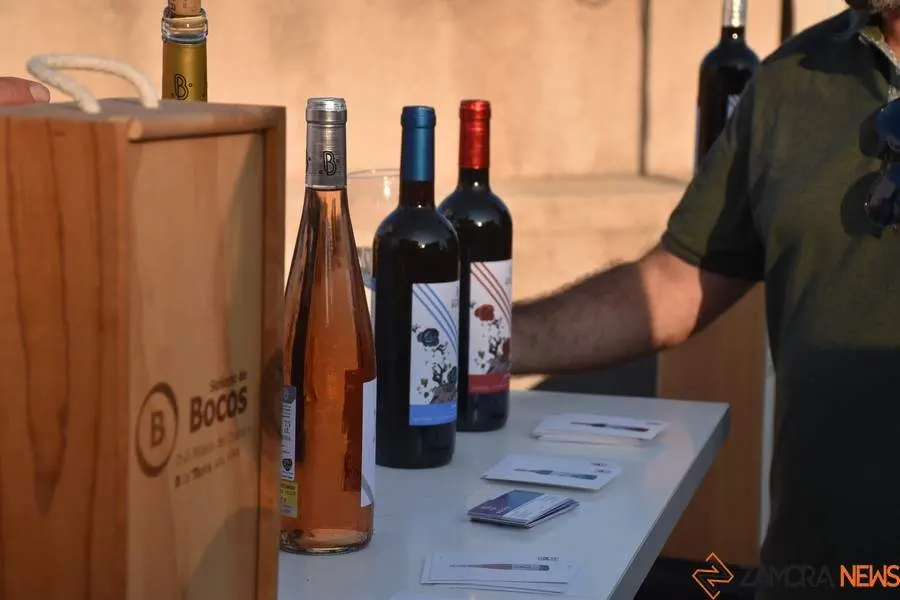 vinos denominación de origen_19