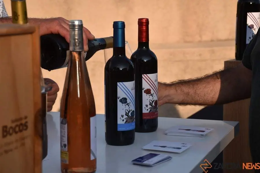 vinos denominación de origen_20