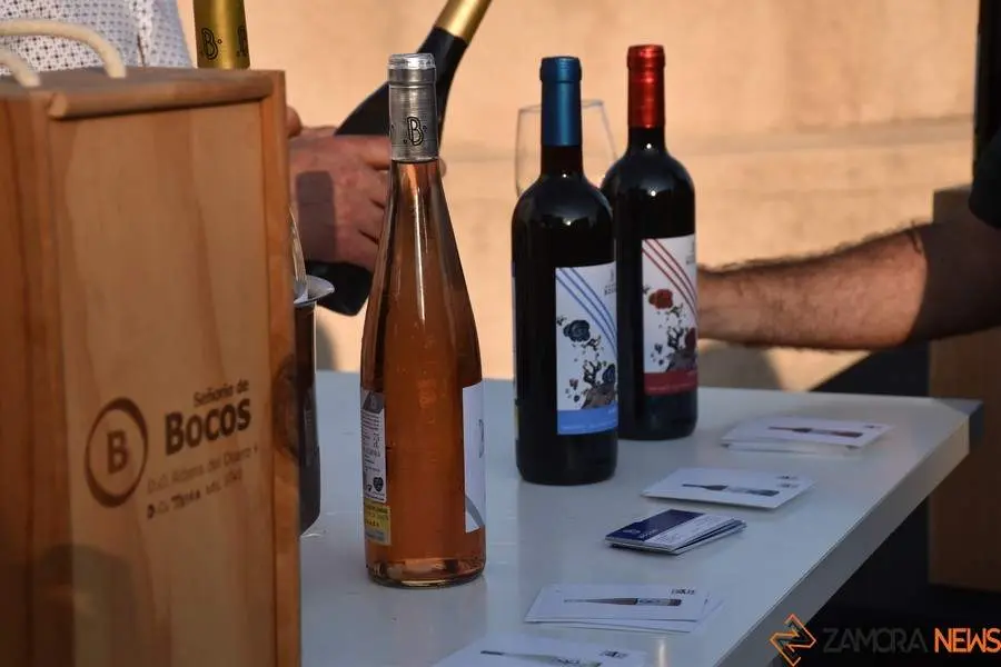 vinos denominación de origen_21