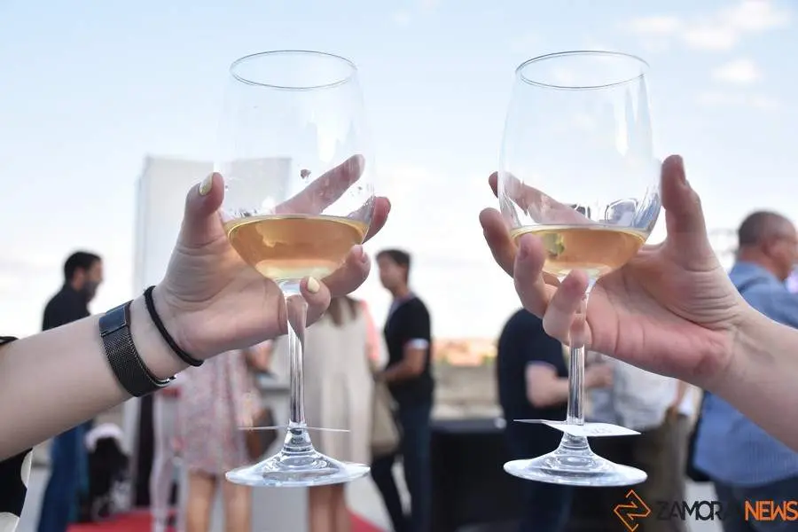 vinos denominación de origen_24