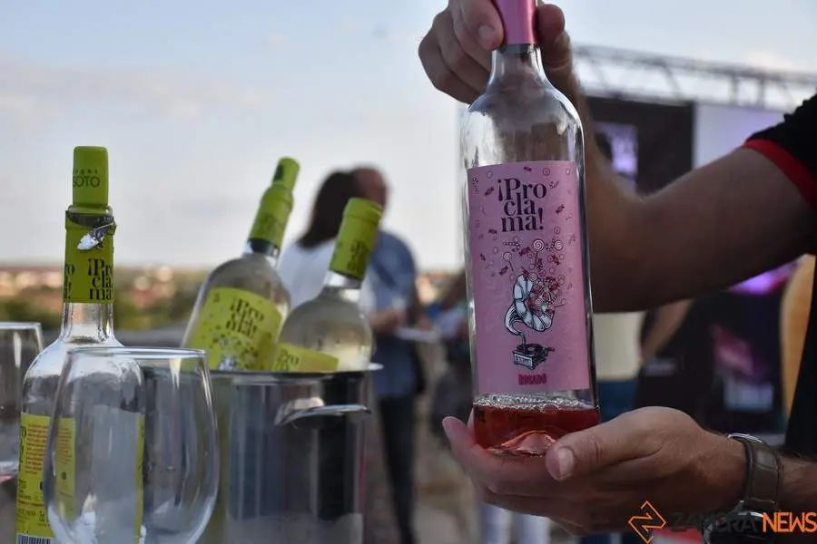 vinos denominación de origen_30
