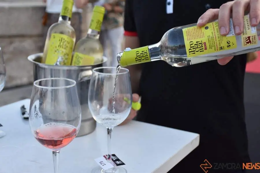 vinos denominación de origen_32