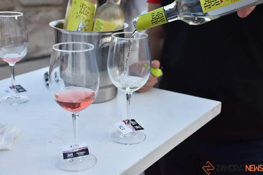 vinos denominación de origen_33