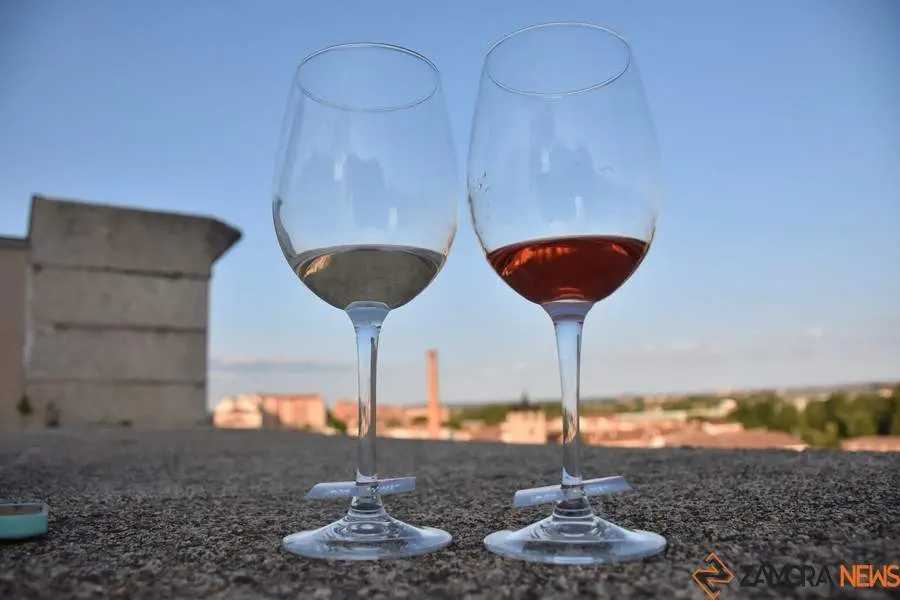 vinos denominación de origen_41